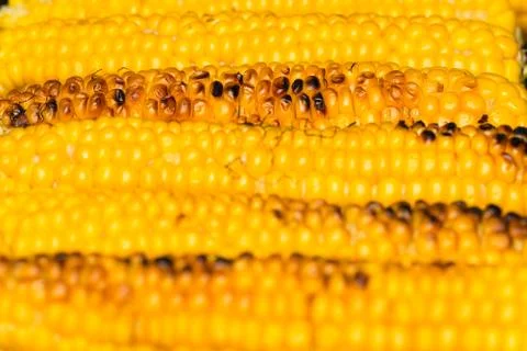 Sweet Corn on BBQ Stock Photos