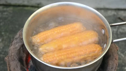 Sweet corn is being boiled. Stock Footage 291789611