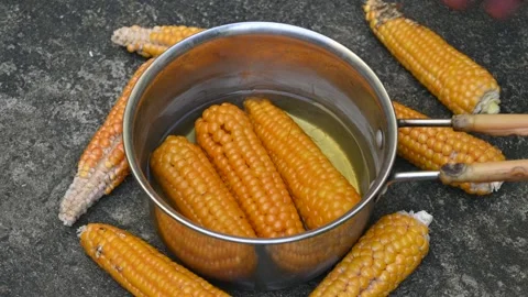 Sweet corn is being boiled. Video stock 291790928