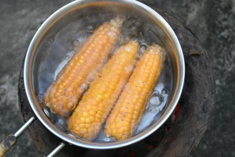 Sweet corn is being boiled. Stock Photos