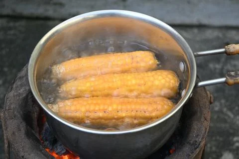 Sweet corn is being boiled. Stock Photos