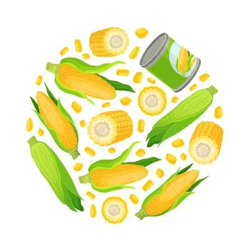 Sweet corn of circular shape. Natural organic farm product backdrop, packaging Stock Illustration