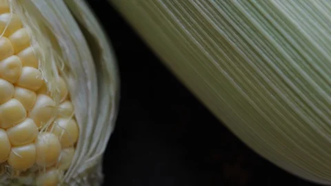 Sweet Corn Close Up Video stock 108613242