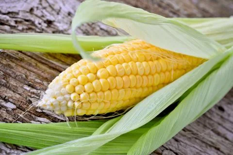 Sweet corn closeup 写真素材