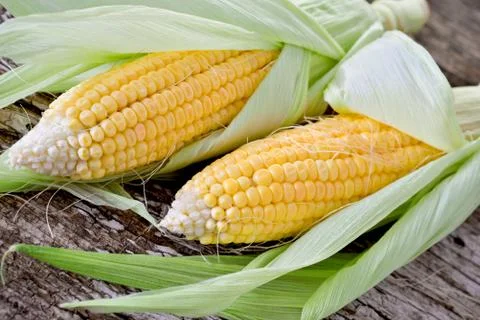 Sweet corn closeup Stock Photos