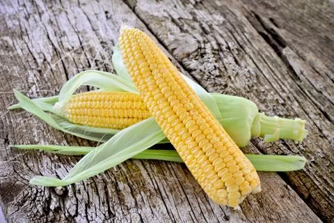Sweet corn closeup 写真素材