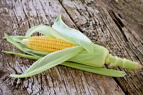 Sweet corn closeup 写真素材