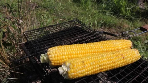 Sweet corn cob grilled on barbecue bbq. Stock Footage 136569177