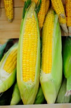 Sweet Corn on the Cob Stock Photos
