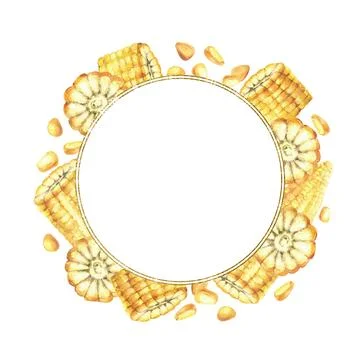 Sweet Corn cobs with maize kernels gold framed wreath. Whole and sliced corncobs Stock Illustration