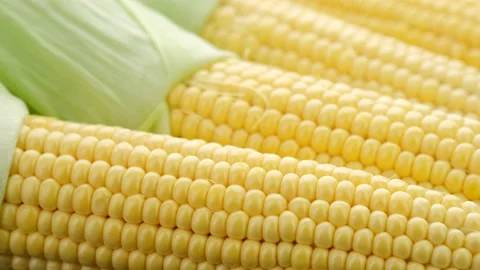 Sweet corn cobs rotating macro close up Stock Footage 135370459