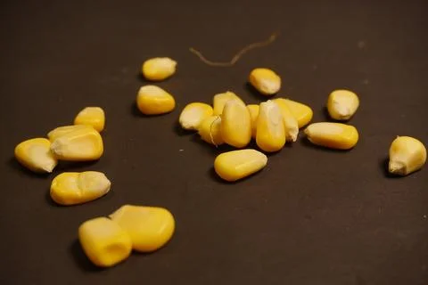 Sweet Corn : Corn kernels are small maize fruits containing a hard shell Stock Photos