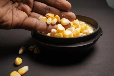 Sweet Corn : Corn kernels are small maize fruits containing a hard shell Stock Photos
