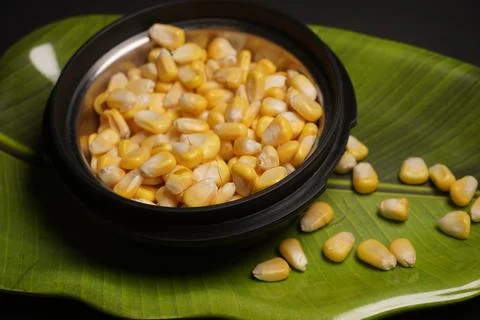 Sweet Corn : Corn kernels are small maize fruits containing a hard shell Stock Photos