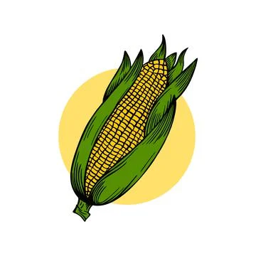 A sweet corn ear corn retro vintage style illustration Illustrazione stock