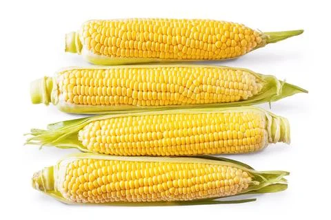 Sweet corn ear isolated on white background Foto stock
