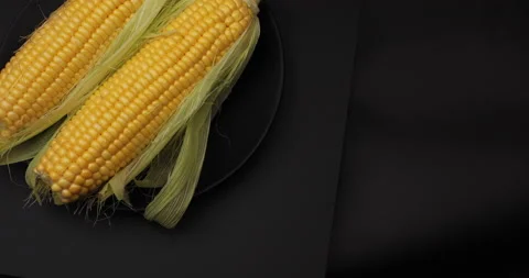 Sweet corn. Stock Footage 236388951