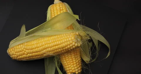 Sweet corn. Stock Footage 236696706