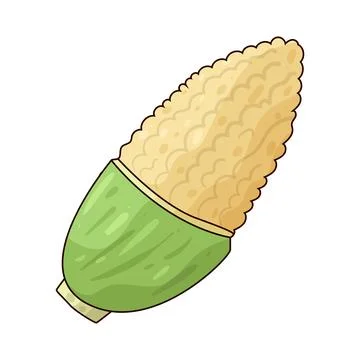 Sweet Corn illustration Stock Illustration