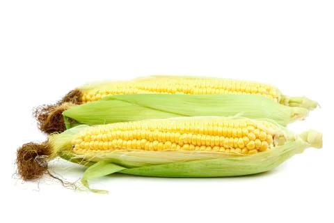 Sweet corn isolated on a white background Stock Photos
