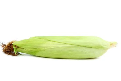 Sweet corn isolated on a white background Stock Photos