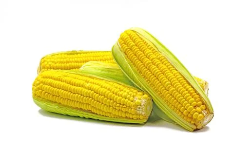 Sweet Corn isolated on white background. Stock Photos