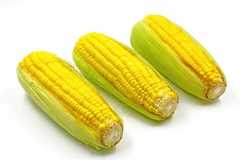 Sweet Corn isolated on white background. Stock Photos