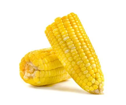 Sweet corn isolated on white background 库存照片