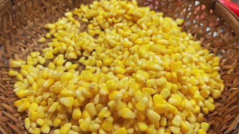 Sweet corn kernels background in woven basket Stock Footage 341337201