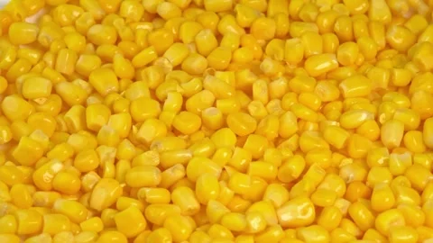 Sweet corn kernels macro rotate like a background. Ingredient for mexican salad Stock Footage 247712912
