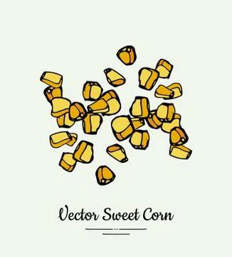 Sweet corn, kernels, maize isolated groceries vector. Fresh food line hand dr Stock Illustration