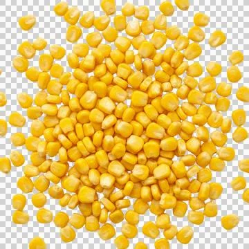 Sweet corn kernels on transparent background fresh healthy food ingredient .. Фото