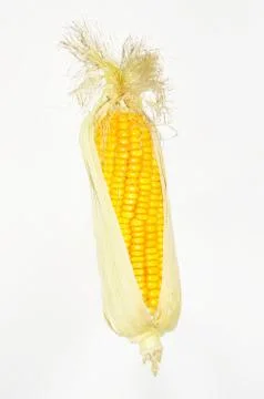 Sweet corn Stock Photos