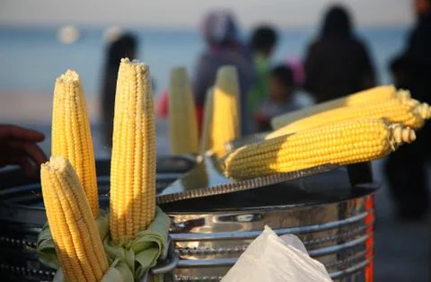 Sweet Corn Stock Photos