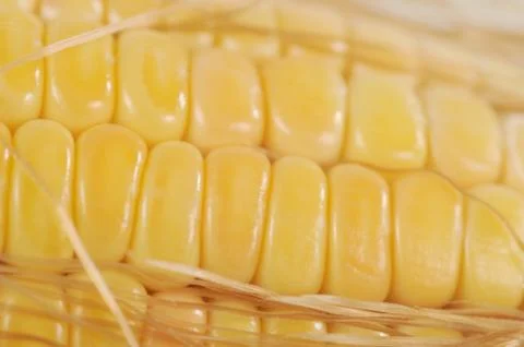 Sweet  Corn Stock Photos