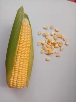 Sweet corn Foto stock