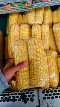 Sweet corn Foto stock