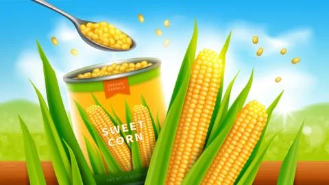 Sweet corn realistic vector advertising poste Stock Illustration