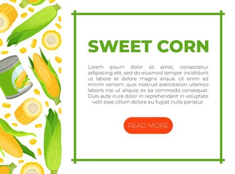 Sweet corn web banner template. Natural organic farm product landing page Stock Illustration