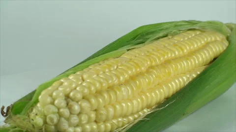 Sweet Corn On A White Surface, Isolated, Bio, Organic, Cuisine, Turning Stock Footage 40617135