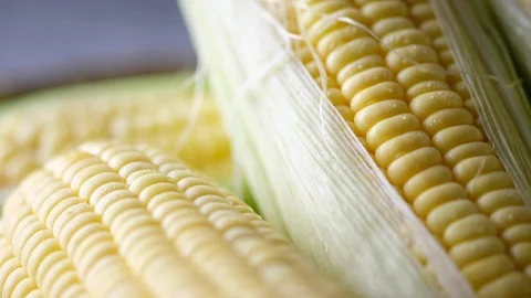 Sweet Corns Close Up Video stock 127936737