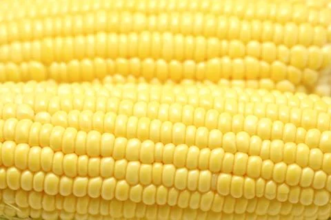 Sweet corns as fruit background Stock Photos