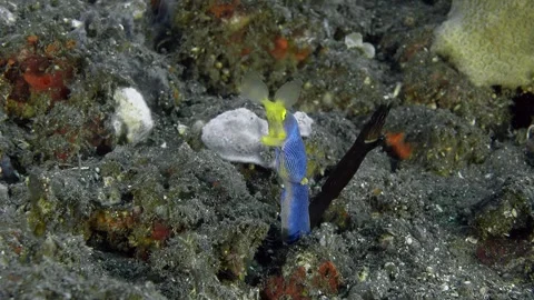 Sweet couple Stock Footage 273427869