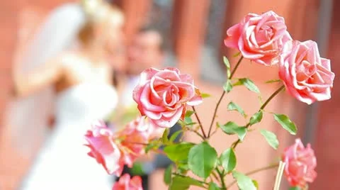 Sweet couple with roses Stock Footage 10896874