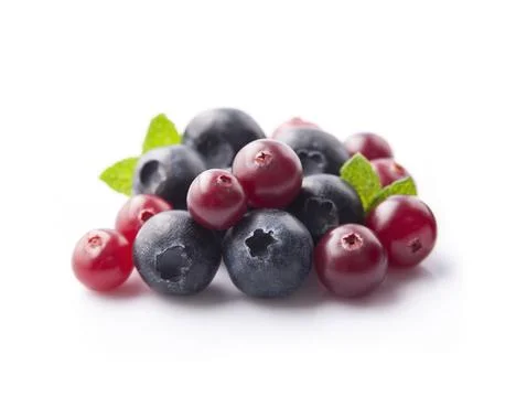 Sweet cranberries with blueberries Stock Photos