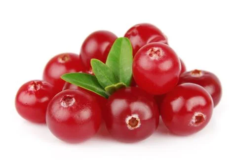 Sweet cranberries with leafs Stock Photos