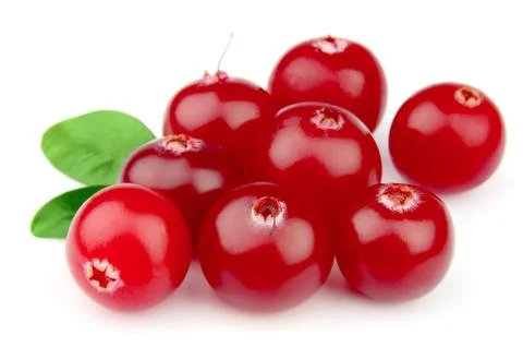 Sweet cranberries with leafs Stock Photos