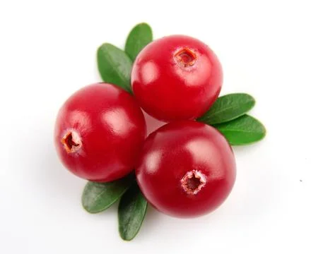Sweet cranberries Stock Photos
