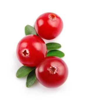 Sweet cranberries Foto stock