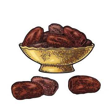 Sweet dates fruit in the bowl. Vector black vintage engraving Stock Illustration